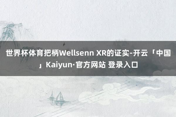 世界杯体育把柄Wellsenn XR的证实-开云「中国」Kaiyun·官方网站 登录入口