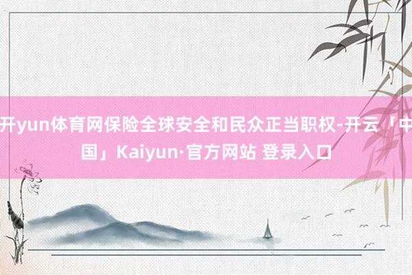 开yun体育网保险全球安全和民众正当职权-开云「中国」Kaiyun·官方网站 登录入口