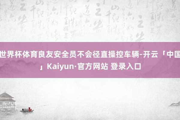 世界杯体育良友安全员不会径直操控车辆-开云「中国」Kaiyun·官方网站 登录入口