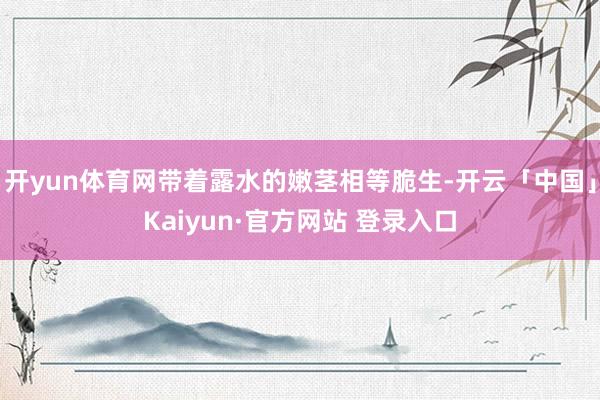 开yun体育网带着露水的嫩茎相等脆生-开云「中国」Kaiyun·官方网站 登录入口