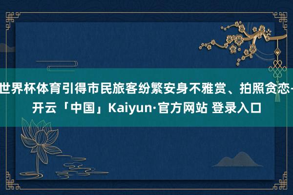 世界杯体育引得市民旅客纷繁安身不雅赏、拍照贪恋-开云「中国」Kaiyun·官方网站 登录入口