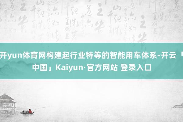 开yun体育网构建起行业特等的智能用车体系-开云「中国」Kaiyun·官方网站 登录入口