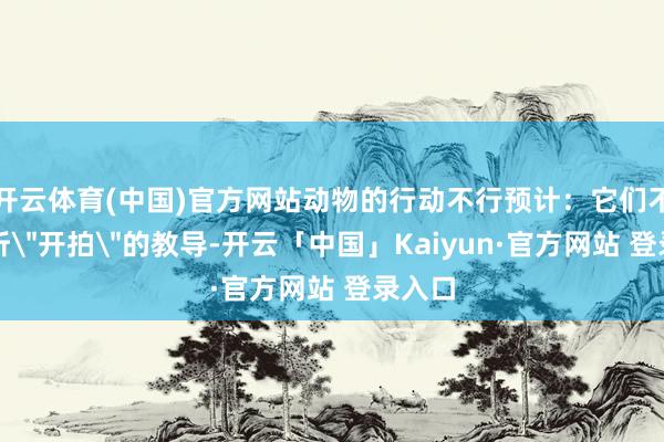 开云体育(中国)官方网站动物的行动不行预计：它们不懂得听
