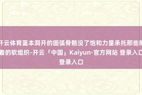 开云体育蓝本洞开的圆弧骨骼没了饱和力量承托那些附着的软组织-开云「中国」Kaiyun·官方网站 登录入口