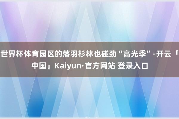 世界杯体育园区的落羽杉林也碰劲“高光季”-开云「中国」Kaiyun·官方网站 登录入口