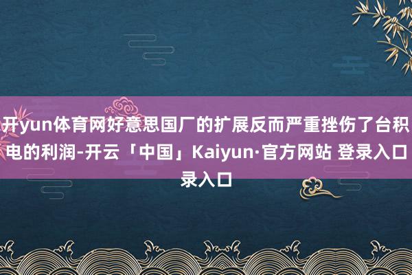 开yun体育网好意思国厂的扩展反而严重挫伤了台积电的利润-开云「中国」Kaiyun·官方网站 登录入口